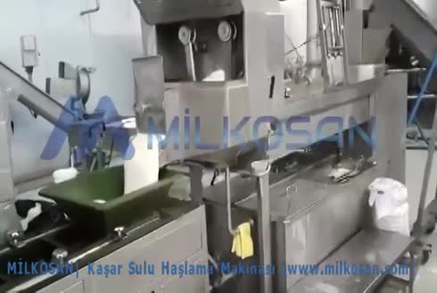 2000 Kg/Saat Peynir Sulu Haşlama Makinası