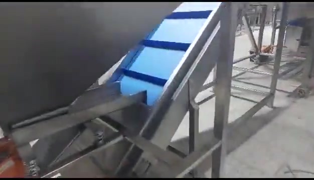 Corn Fryer Line