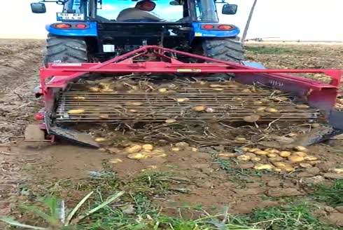 2 Row Potato Harvester