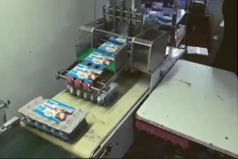 Yumurta Paketleme Karton Kağıt Besleme Makinası