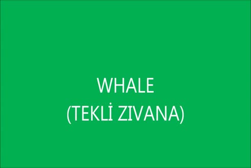 Whale Tek Bıçaklı Zıvana Makinası Ahşap Köşe Birleştirme Makinası