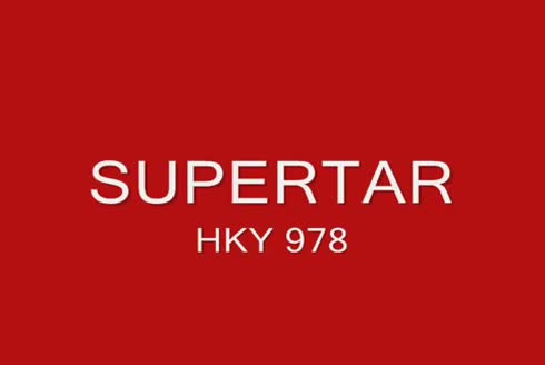 Superstar HKY 978 Çayır Ve Yonca Biçme Makinası