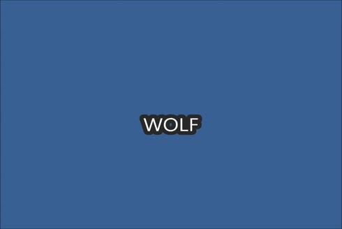 Станок для установки петель на камне WOLF