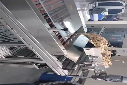 3000 Kg/Gün Tam Otomatik File ve Soyulmuş Diş Sarımsak Dolum ve Paketleme Makinesi