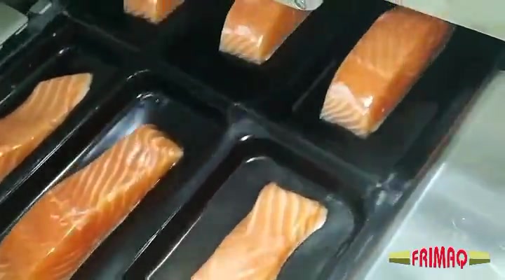 THERMOFORM SKIN SOMON BALIĞI (4)