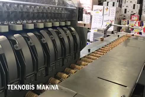 Teknopac Gz-120 Gezer Çene Paketleme Makinası
