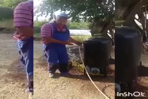 Ceviz Soyma Makinesi