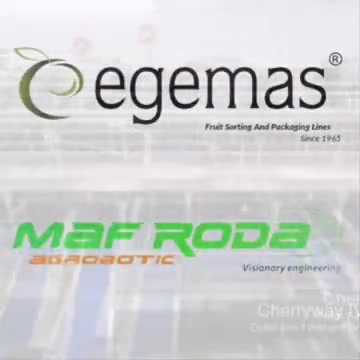 Kiraz Boylama Makinası