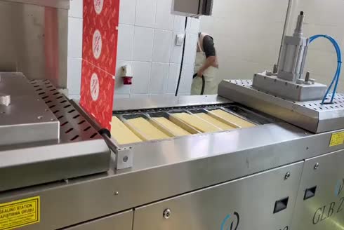 GPZ CMP Peynir Paketleme Makinası 