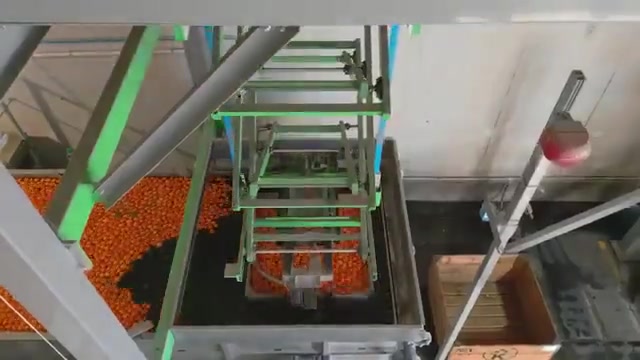 Narenciye Boylama Makinası