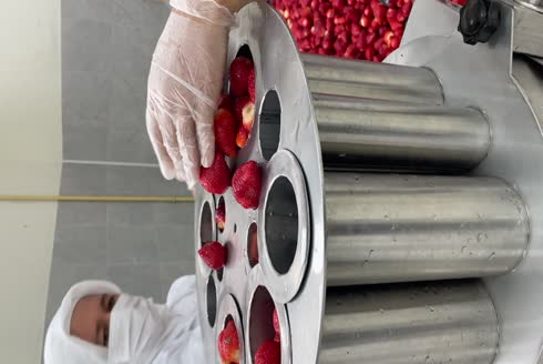 250-500 Kg /Saat Meyve Sebze Dilimleme Makinesi