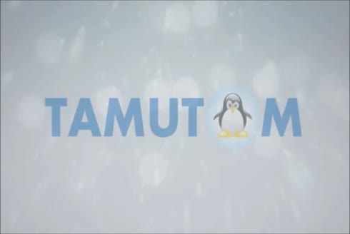 3 Ton / Gün Mobil Kalıp Buz Makinesi