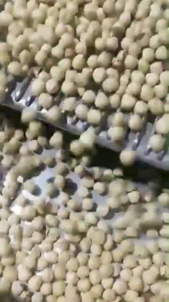 Paslanmaz Çelik Fındık Kuruyemiş Havalı Zar Soyma Makinesi