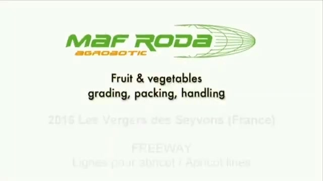 Kayısı Şeftali Nektarin Boylama Makinası