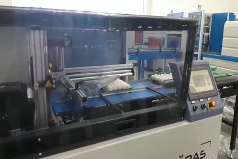 CS-F Sürekli Kesim Otomatik Shrink Ambalaj Makinesi