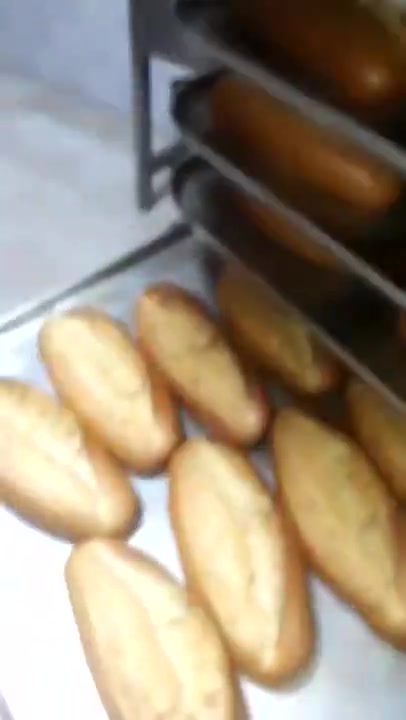 Dn-180 Paslanmaz Çelik Dönerli Fırın