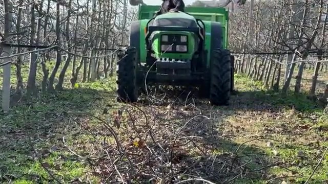 320 cm 144 Bıçaklı Sap Parçalama Makinası