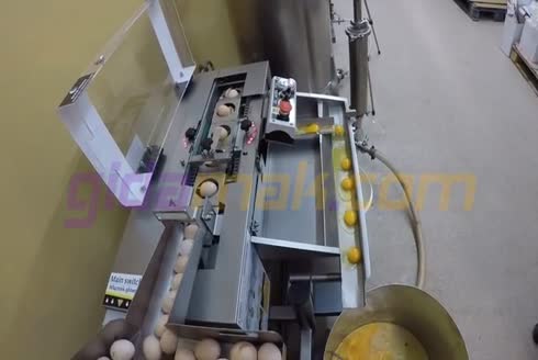 200 Litre / Saat Yumurta Pastörizatörü