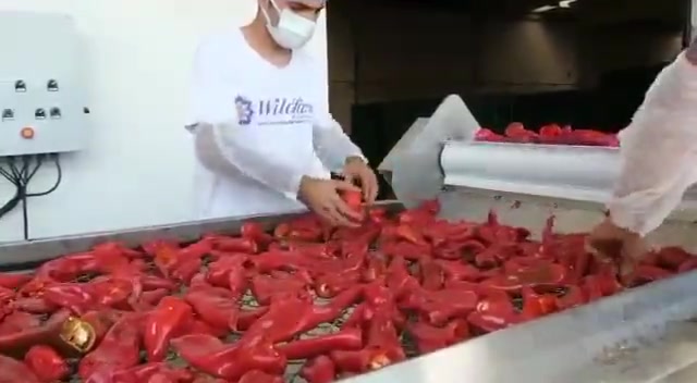 Getek Makina Gida Inşaat Ith.Ihr. San Tic. Ltd Sti