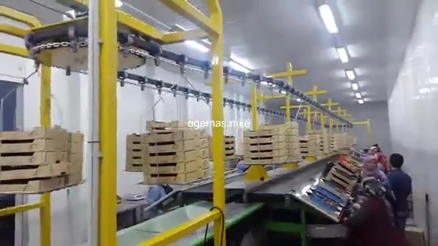 İncir Boylama Makinası