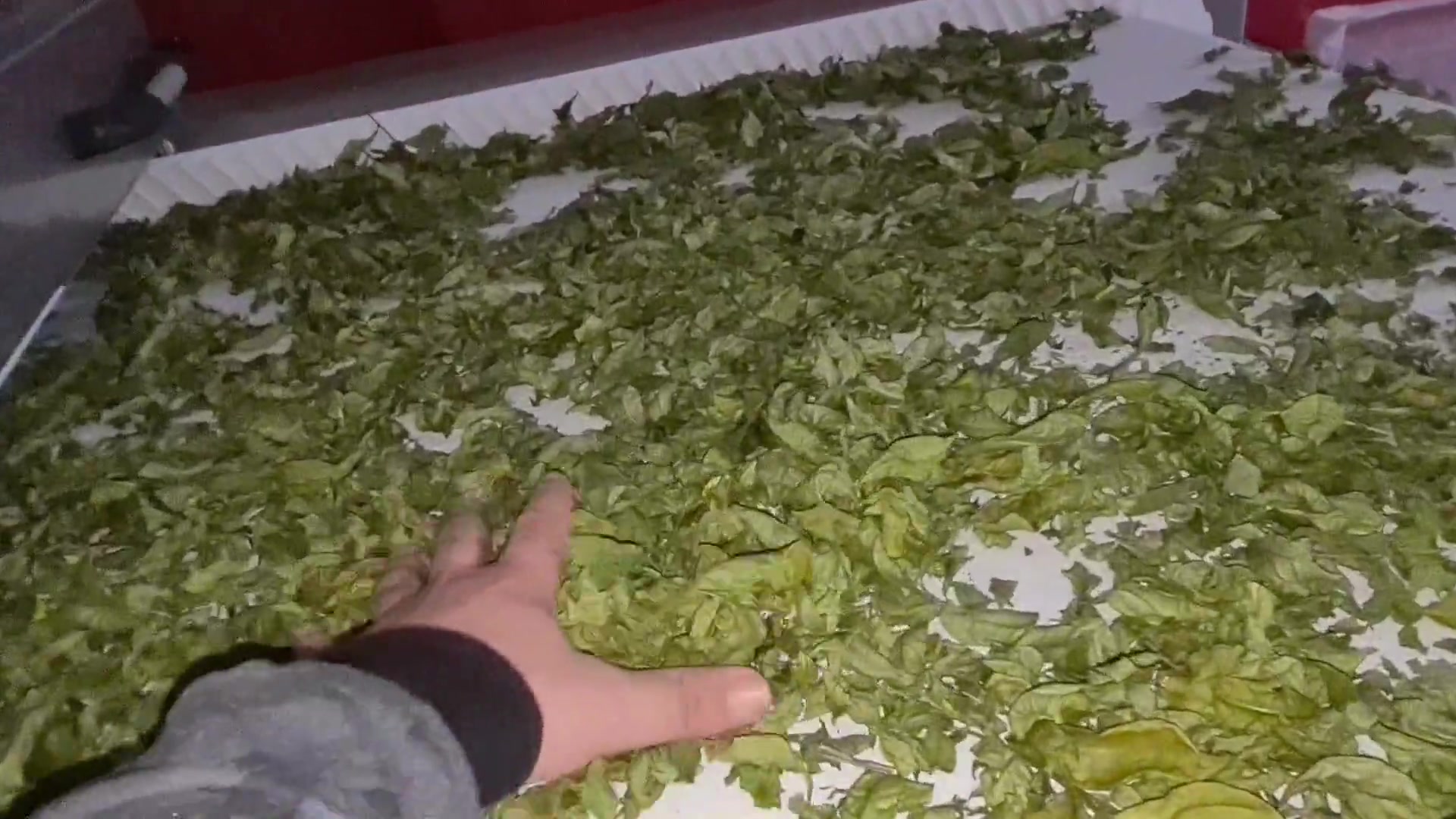 mikrodalga bakliyat ısıl işlem ve endemik bitki kurutma Tanıtım Videosu