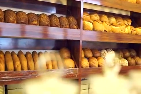 25 m² Pişirme Alanı 32 Tepsili Döner Arabalı Fırın