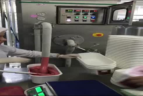 300-1200 Litre/Saat Lob Pompalı Kontinü Dondurma Üretim Makinası