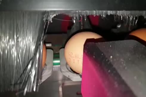Küçük Karakter 5 Satır İnkjet Kodlama Makinesi Z5000 Eggs