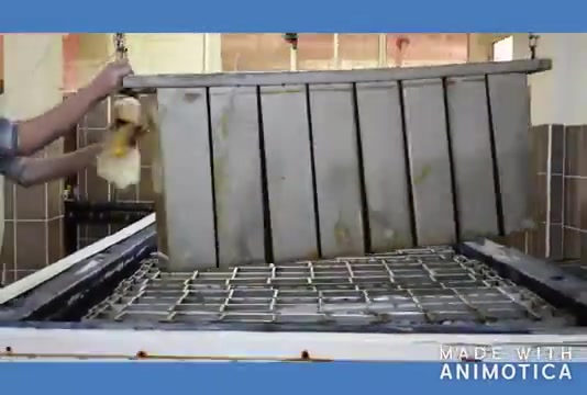 10.000 Kg / Gün Mobil Konteyner Tip Kalıp Buz Makinesi