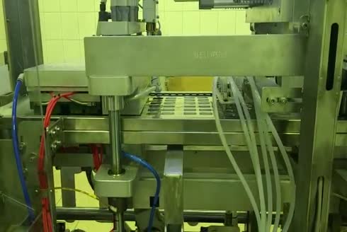 750 Tepsi / Saat Termoform Ambalaj Makinası