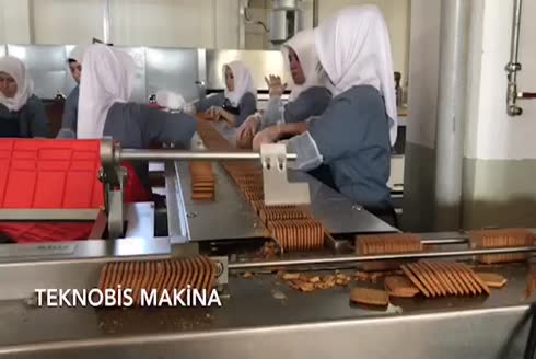 Teknobis Paketleme Makineleri