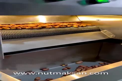 8 Kg/Hour Nuts Roasting Machine