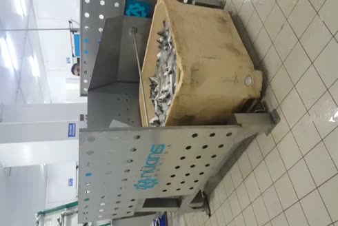 Opsiyonel Livar Balık Aktarma Makinası
