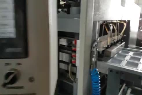 830x500 mm 2 Station Thermoforming Machine