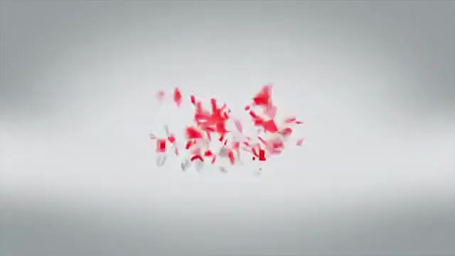 	280 Palet/Saat Streç Hood