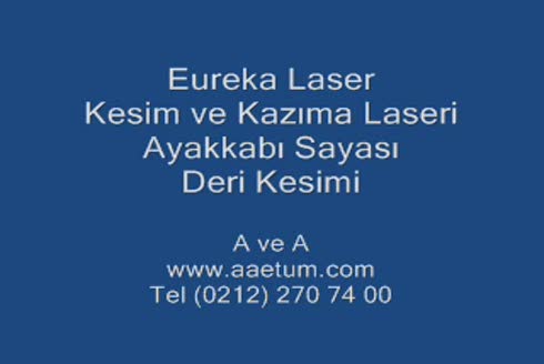 Deri Kesimi Ayakkabı Sayası