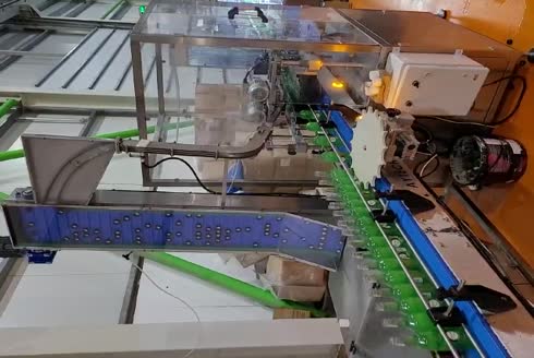 Ürün Paketleme Besleme Elevatörü