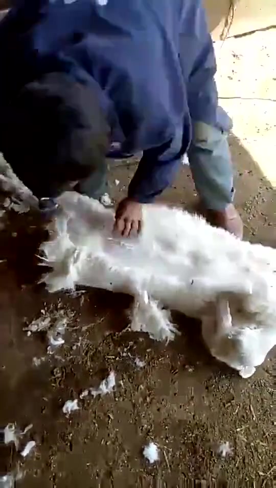 Emya Taşımacılık İnşaat Turizm İth. İhr. ve Tic. Ltd. Şti