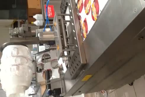 Termoform Peynir Paketleme Makinası