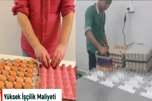 12'Li Yumurta Vakumlama (Taşıma) Aparatı
