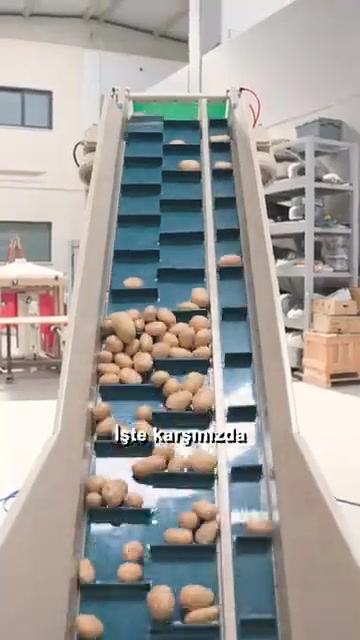 Patates Soğan Boylama Makinası