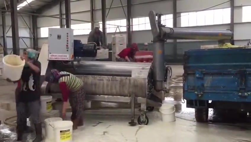 Traktör Arkası Salatalık Hasat Makinası