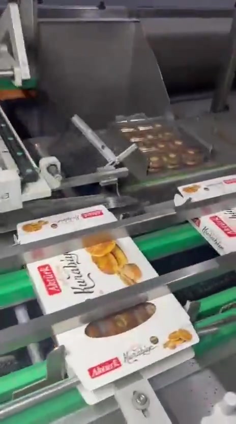 Gıda Makine Pnömatik Tamiri Onarımı