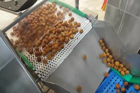 Dondurulmuş Ürün Dikey Paketleme Makinası