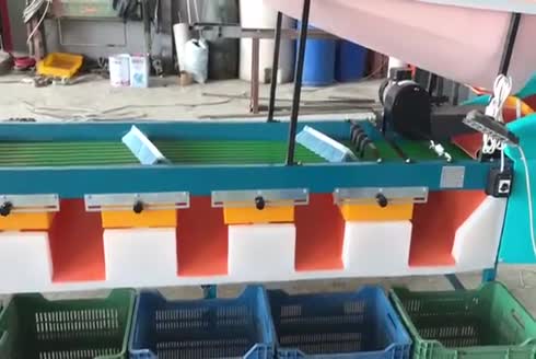 Ceviz Boylama Makinası 	A-CB001